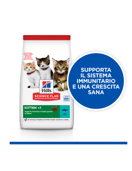 Hill's Feline Kitten tonno kg 1,5. Cibo per cuccioli di gatto .