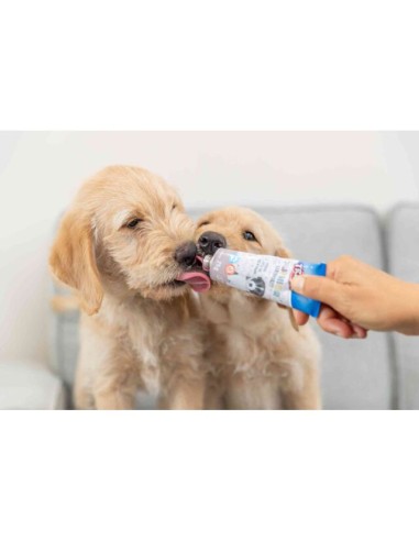 Patè Junior Di Fegato gr 75. Puppy.