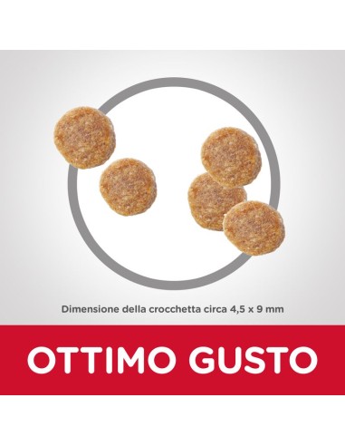 Hill's Feline Mantenimento Tonno gr 300. Cibo Secco Per Gatti .