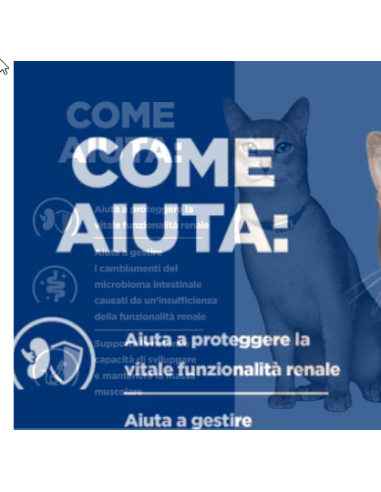 Hill's Feline Croccantini K/D Tonno kg 1,5. Diete Cibo Secco per gatti