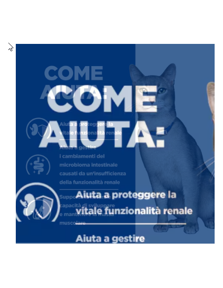 Hill's Feline Croccantini K/D Tonno kg 1,5. Diete Cibo Secco per gatti