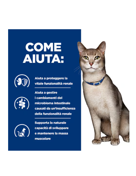 Hill's Feline Croccantini K/D Tonno kg 1,5. Diete Cibo Secco per gatti