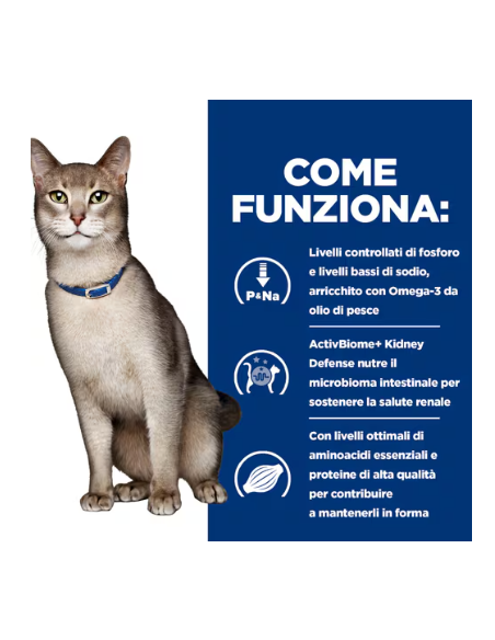 Hill's Feline Croccantini K/D Tonno kg 1,5. Diete Cibo Secco per gatti