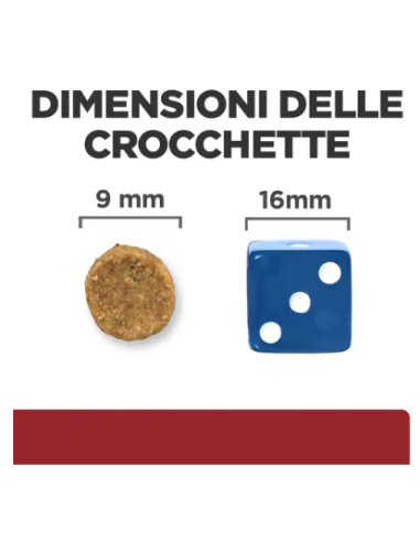 Hill's Feline Croccantini gr 400. Diete Per gatti.