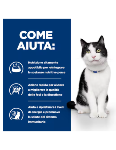 Hill's Feline Croccantini gr 400. Diete Per gatti.