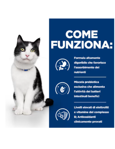 Hill's Feline Croccantini gr 400. Diete Per gatti.