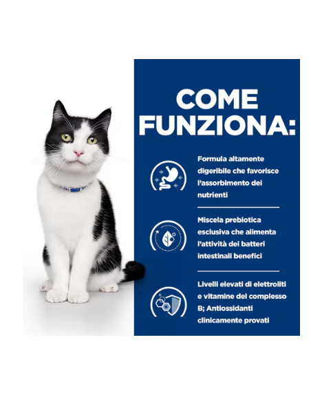 Hill's Feline i/D Croccantini kg 1,5. Diete Per gatti