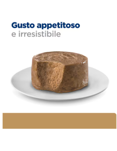 Hill's Feline Canine a/d gr 200 urgent  care. Diete cibo umido.