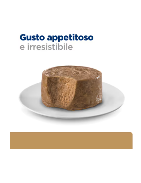 Hill's Feline Canine a/d gr 200 urgent  care. Diete cibo umido.
