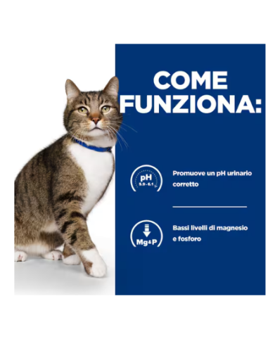 Hill's Feline s/d kg 1,5. Diete Cibo Secco Per Gatti