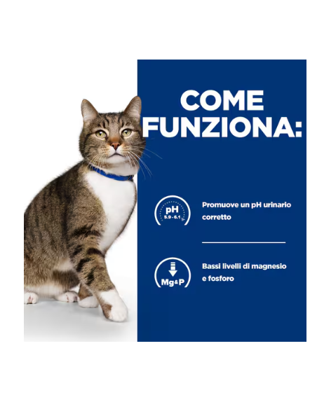 Hill's Feline s/d kg 1,5. Diete Cibo Secco Per Gatti