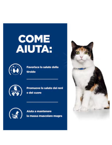 Hill's Croccantini Y/d kg 1,5. Diete Cibo Secco Per Gatti