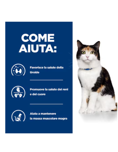 Hill's Feline Y/d gr 150. Diete . Cibo Umido Per Gatti