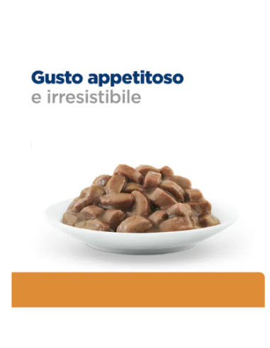 Hill's Feline k/d Salmone Buste gr 85. Diete. Cibo Umido Per Gatti