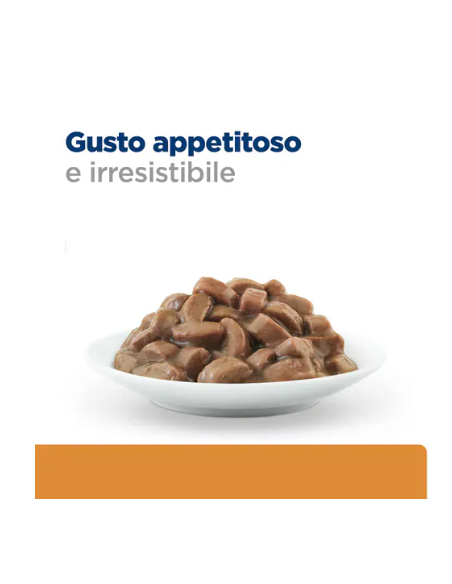 Hill's Feline k/d Salmone Buste gr 85. Diete. Cibo Umido Per Gatti