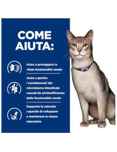 Hill's Feline k/d Salmone Buste gr 85. Diete. Cibo Umido Per Gatti