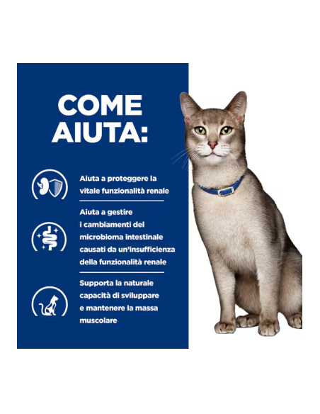Hill's Feline k/d Salmone Buste gr 85. Diete. Cibo Umido Per Gatti