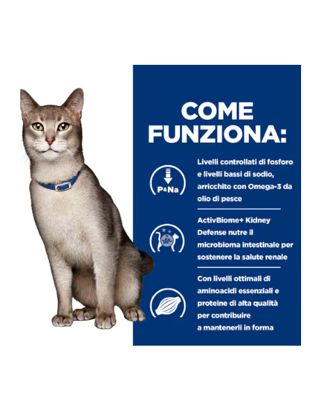 Hill's Feline k/d Salmone Buste gr 85. Diete. Cibo Umido Per Gatti