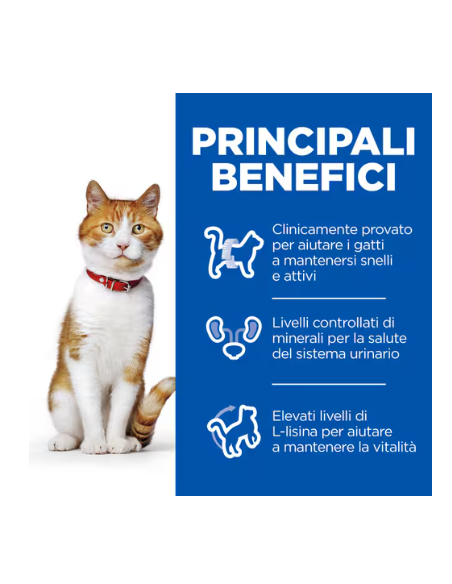 HILL'S FELINE busta STERILISED tacchino GR.85 . Cibo Umido Per Gatti