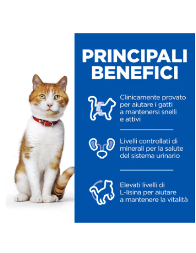 Hill's Feline Busta Sterilizzato Salmone gr 85. Cibo Umido Per gatti.