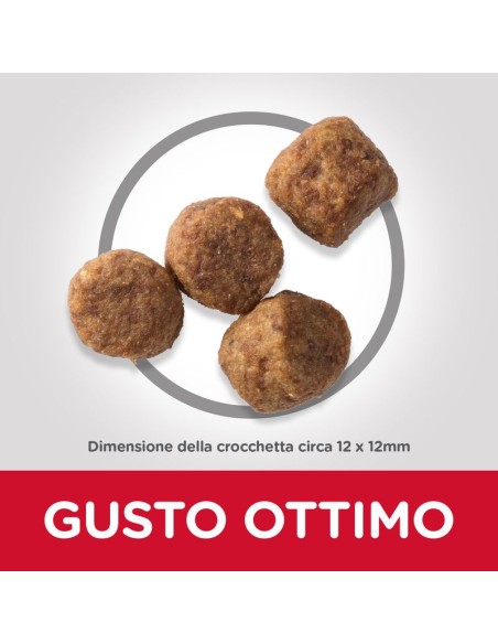 Hill's Canine Mature Medium Pollo kg 2,5. Crocchette per cani