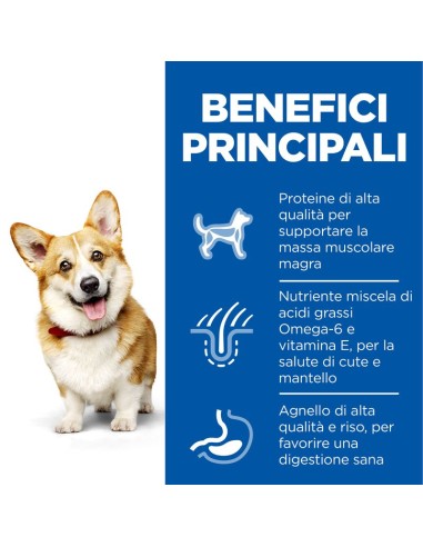 Hill's Canine Adult Small and Miniature gr 300 Agnello.Crocchette per cani