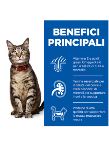 Hill's Feline Busta Adult Pesce gr 85. Cibo Umido Per Gatti