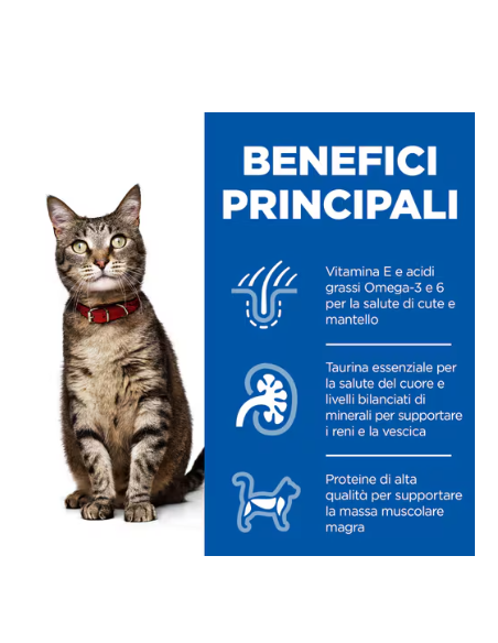 Hill's Feline Busta Adult Pesce gr 85. Cibo Umido Per Gatti