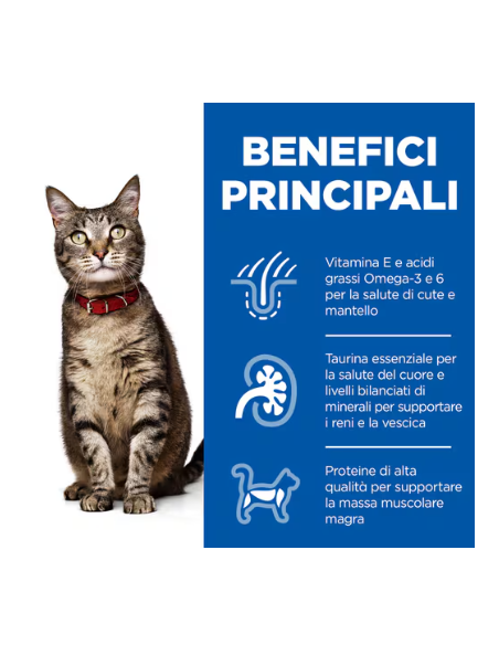 Hill's Feline Busta Adult Manzo gr 85. Cibo Umido Per Gatti. .