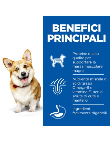 Hill's Canine Adult Small And Miniature gr 300. Pollo. Crocchette per cani