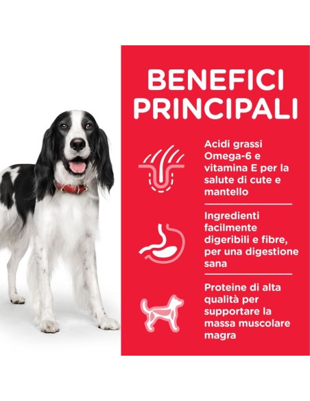 Hill's Canine Maintenance Lamb and Rice kg 2,5. Crocchette per cani