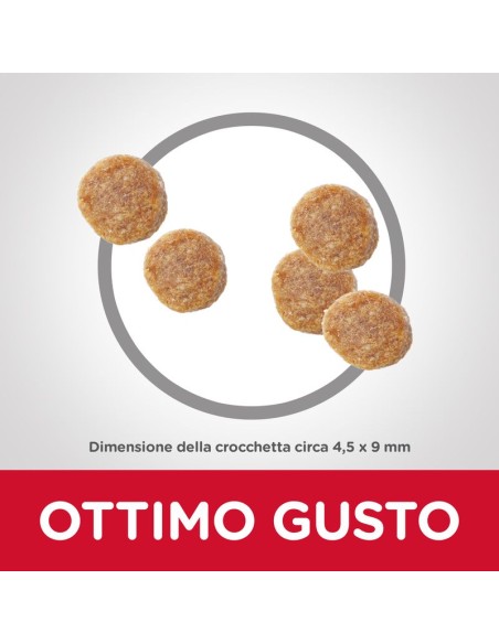 Hill's Feline Adult Tonno kg 1,5. Cibo Secco per Gatti.