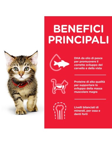 Hill's Feline Kitten kg 1,5. Cibo Per Cuccioli di gatto .