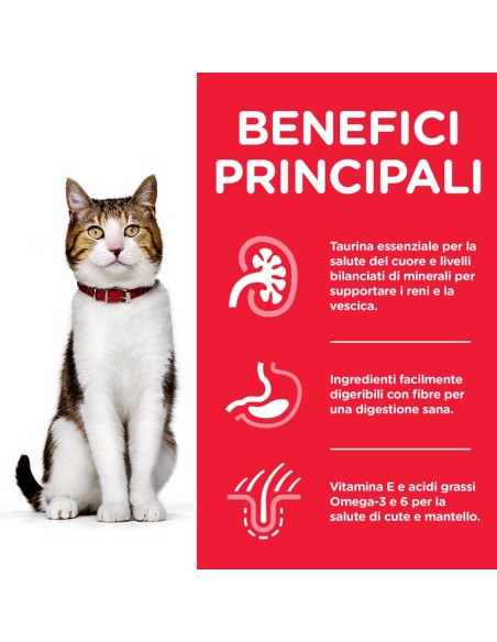 Hill's Feline Mature gr 300. Cibo Secco per gatti .