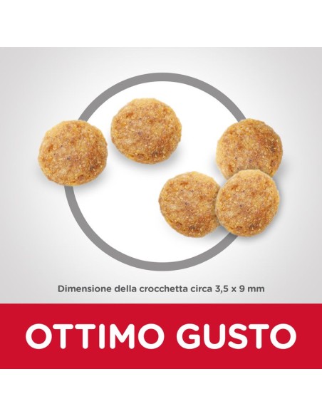 Hill's Feline Mature gr 300. Cibo Secco per gatti .