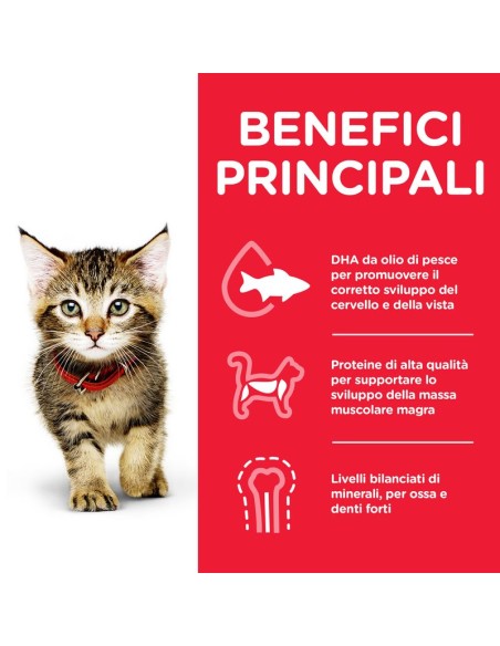 Hill's Feline Kitten Tonno Gr 300. Cibo Per Cuccioli di Gatto .