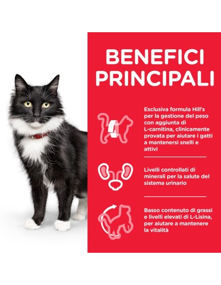 Hill's Feline Mature Sterilised cat gr 300. Cibo Secco Per Gatti