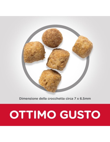 Hill's Feline Mature Sterilised cat gr 300. Cibo Secco Per Gatti