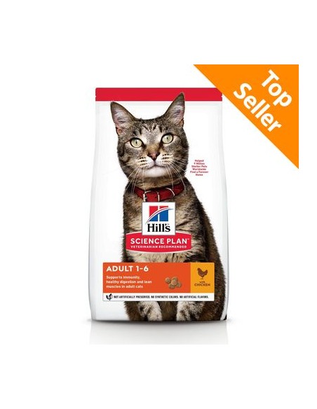 Hill's Feline Mantenimento gr 300. Cibo Secco Per Gatti