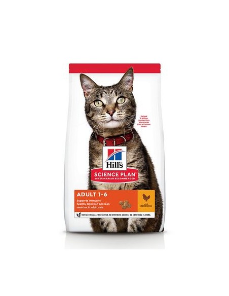 Hill's Feline Mantenimento gr 300. Cibo Secco Per Gatti
