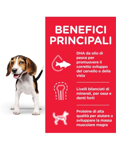 Hill's Canine Puppy Medium Pollo Kg 3. Puppy.