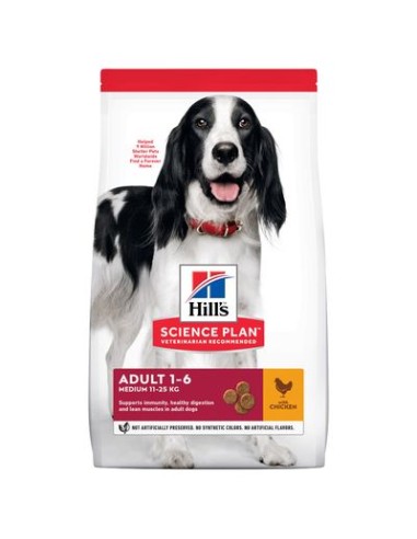 Hill's Canine Adult Mantenimento Pollo kg 2,5. Crocchette per cani