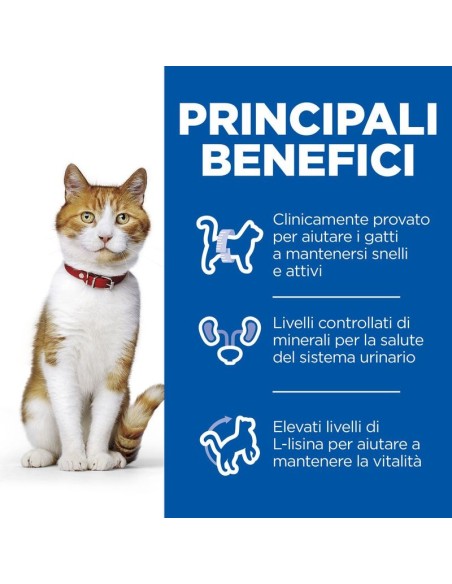 Hill's Feline Sterilizzato cat Pollo gr 300. Cibo Secco per gatti