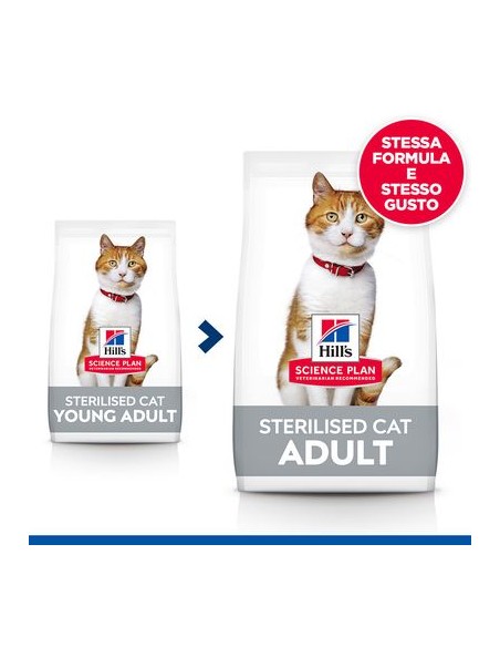 Hill's Feline Sterilizzato cat Pollo gr 300. Cibo Secco per gatti