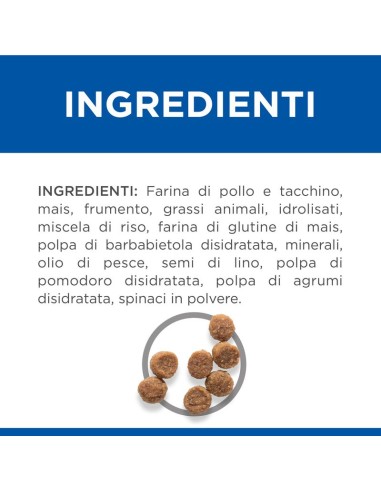 Hill's Canine Puppy small and Mini pollo gr 300. Puppy