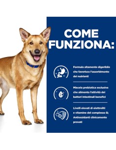 Hill's Canine i/D kg 4. Diete Cibo Secco Per Cani