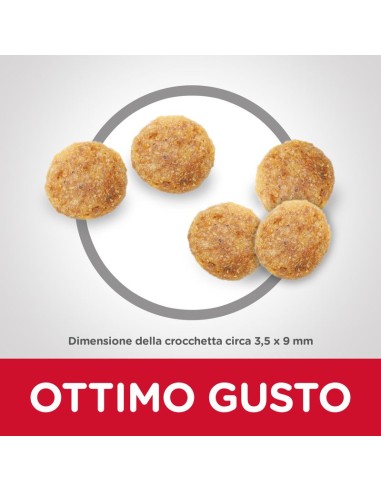 Hill's Feline Mature 7+ pollo kg 1,5. Cibo Secco Per Gatti