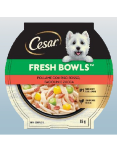 Cesar Fresh Bowls Pollame con Riso rosso Fagiolini e Zucca gr.85. Cibo Umido per cani