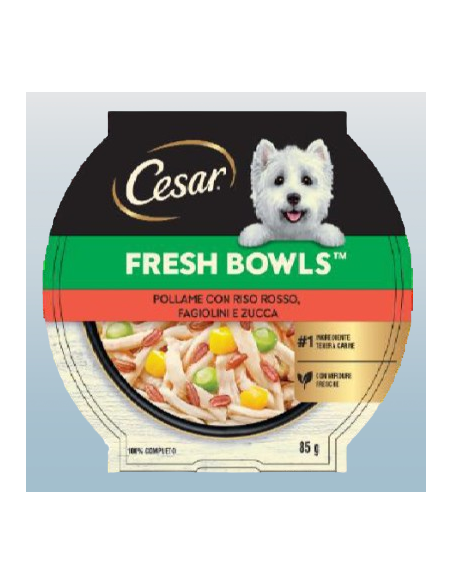 Cesar Fresh Bowls Pollame con Riso rosso Fagiolini e Zucca gr.85. Cibo Umido per cani