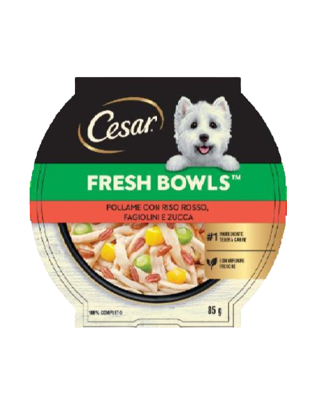 Cesar Fresh Bowls Pollame con Riso rosso Fagiolini e Zucca gr.85. Cibo Umido per cani